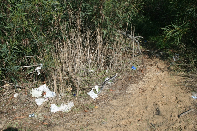 Pollution in Capparicca beach ( number 19) PORTUGAL